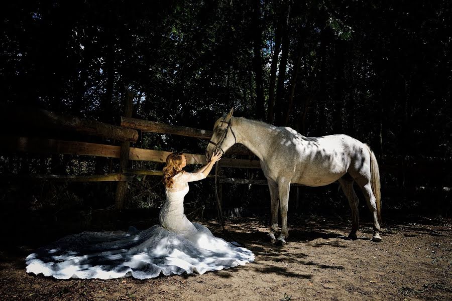 Fotografo di matrimoni Miqo Cash (miqocash). Foto del 18 maggio 2020