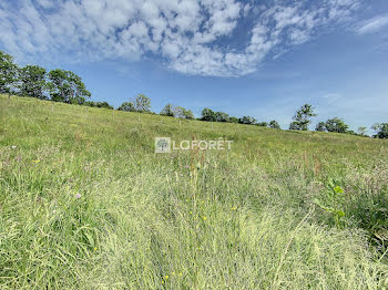 terrain à Lieutadès (15)