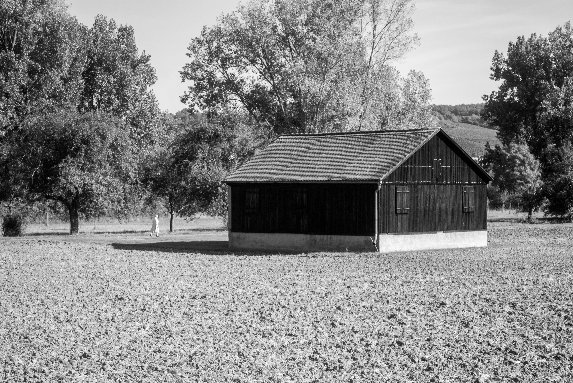 La signora e il cottage di Samuelmojo