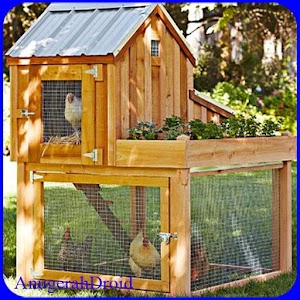 Download Design Chicken House For PC Windows and Mac