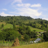 Dai nonni in giardino di 