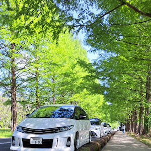 エスティマ ACR50W