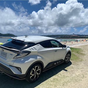 C-HR ZYX10