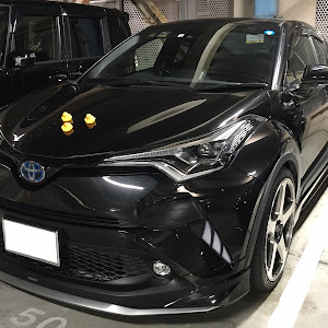C-HR ZYX10