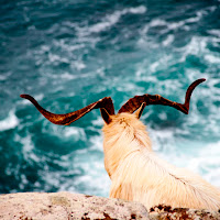 Il Vecchio Caprone Guardiano del Faro. di 