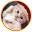 Scottish Fold Cat Care Download on Windows