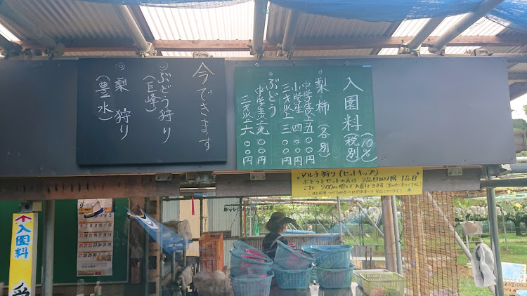 スイフトスポーツのアライメント測定・調整・国井自動車・ｸﾞﾚｰﾌﾟｩ(｢🍇･ω･)｢🍇・富士のグラチャン・昭和ネタに関するカスタム事例の投稿画像6枚目