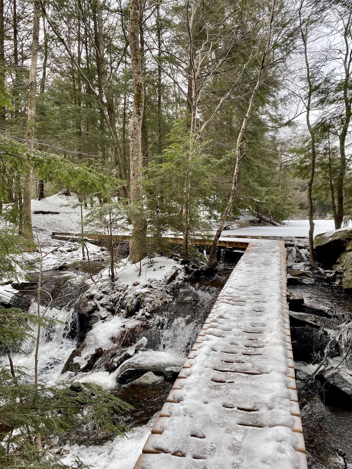 winter hikes muskoka