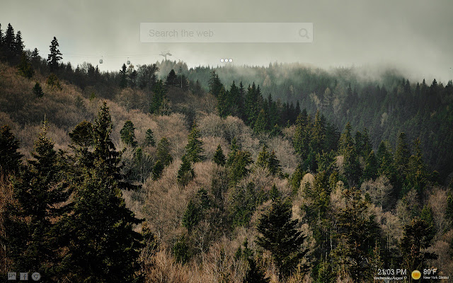 Forest New Tab