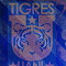 Item logo image for Tigres UANL