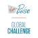 Virgin Pulse Global Challenge icon