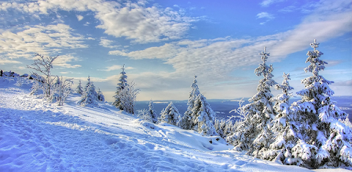 Winter Wallpaper & Backgrounds