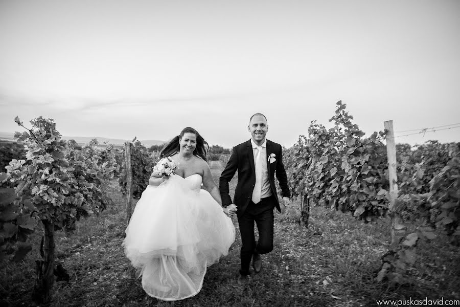 Wedding photographer Puskás Dávid (puskasdavid). Photo of 11 December 2019