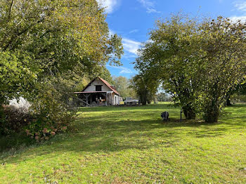 maison à Beaufour-Druval (14)