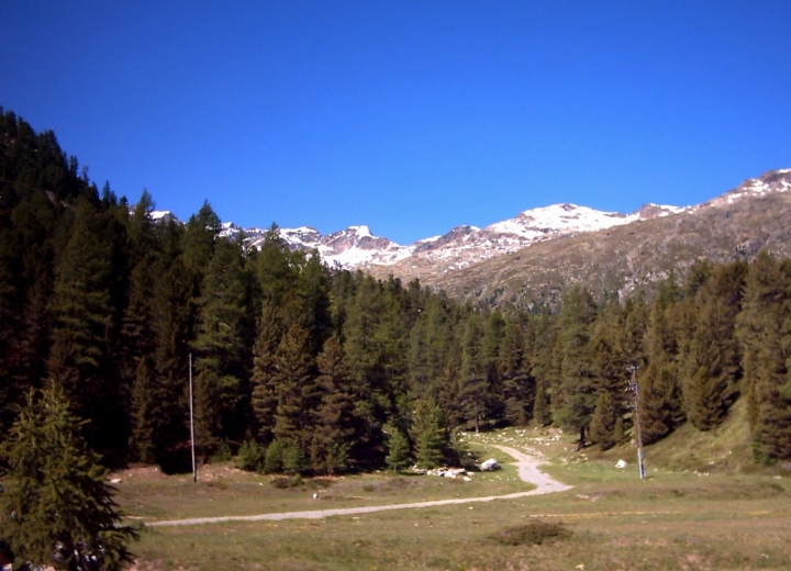 Oasi verde di grisù66