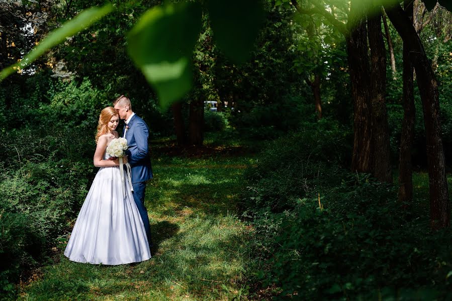 Wedding photographer Svetlana Yaroslavceva (yaroslavcevafoto). Photo of 25 July 2016