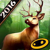 DEER HUNTER 2016