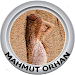 MAHMUT ORHAN - Feel feat. Sena Sener APK