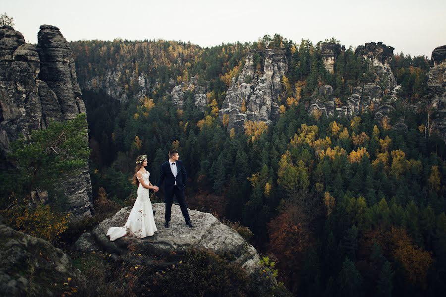 Wedding photographer Oleksandr Ladanivskiy (ladanivskyy). Photo of 13 December 2015