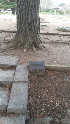 多賀城廃寺　講堂跡