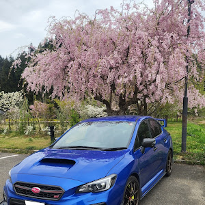 WRX STI VAB