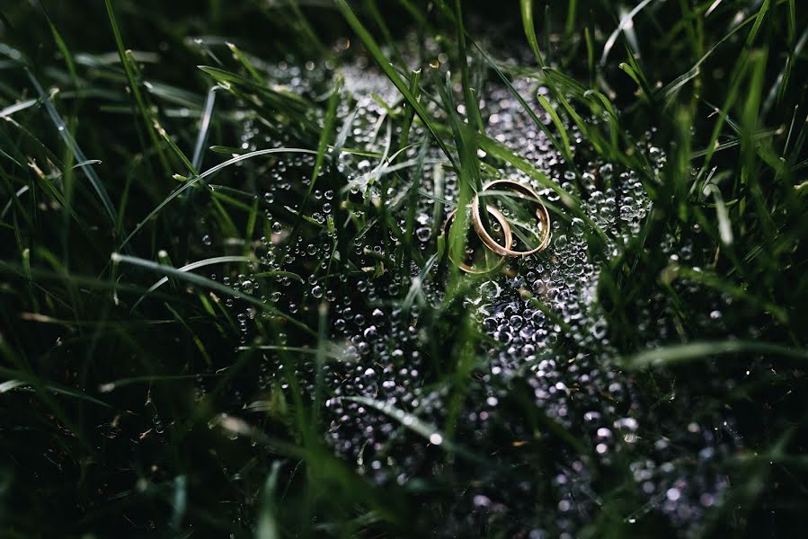 Fotografo di matrimoni Vasyl Balan (balanstudio). Foto del 24 gennaio 2018