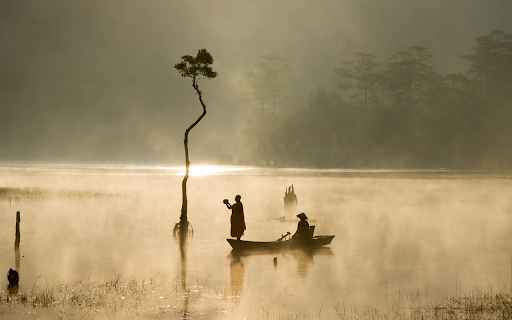 Rowing on the lake