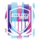 Ecology Driver Download on Windows