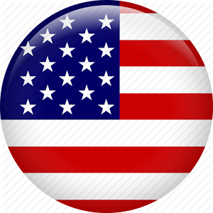 USA Flag Eagle Live Wallpaper