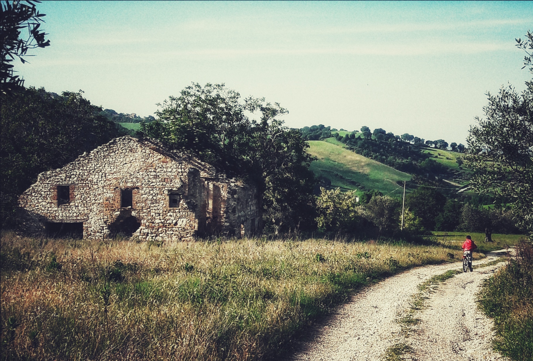 Ricordi di utente cancellato