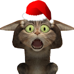 Cover Image of Tải xuống Funny Talking Cat 1.4 APK