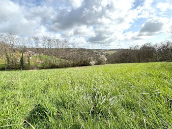 terrain à Moissac (82)