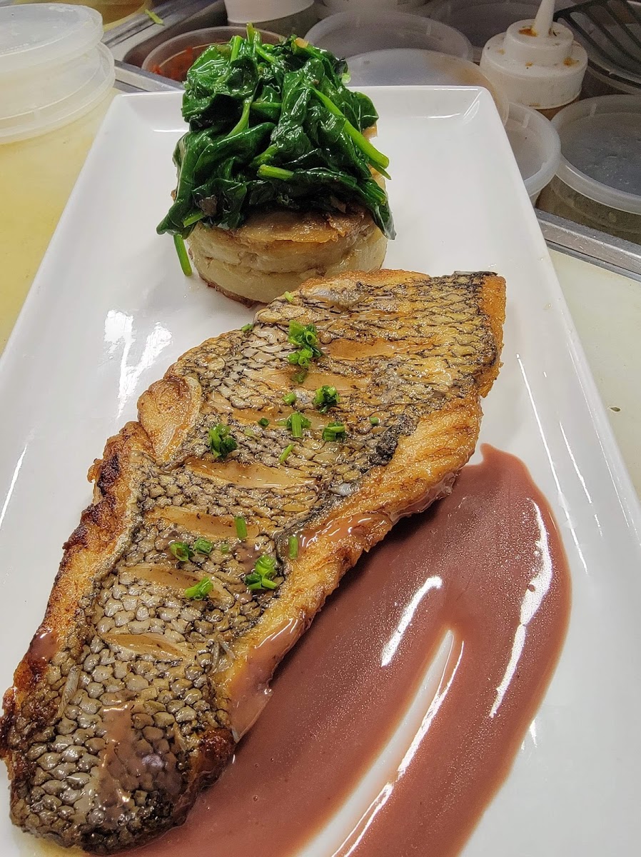 Black Sea bass