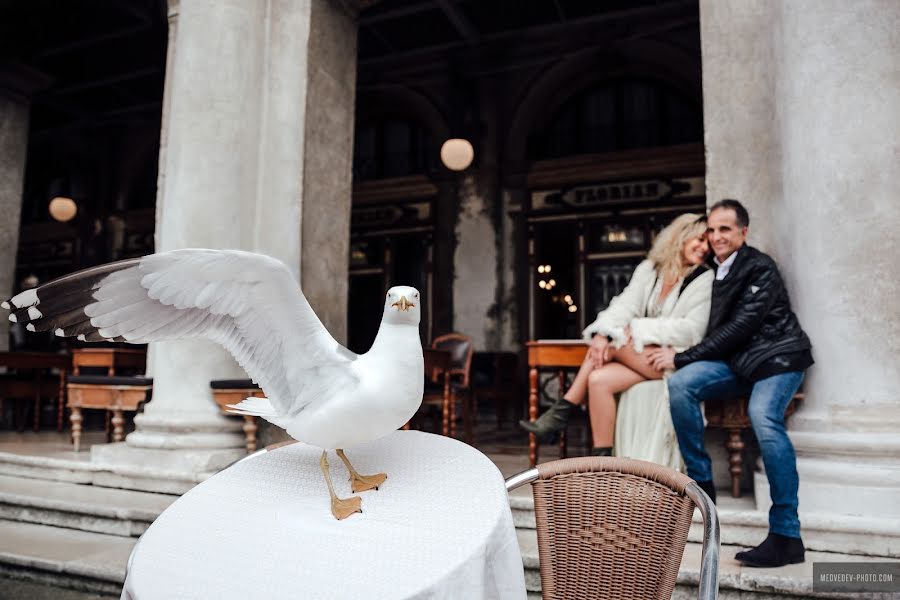 Fotógrafo de casamento Pavel Miadzvedzeu (medvedev-photo). Foto de 29 de outubro 2019