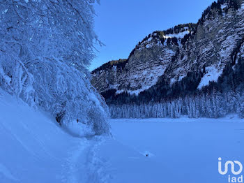 appartement à Montriond (74)