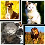 Cover Image of ดาวน์โหลด Animals Sounds 1.8 APK