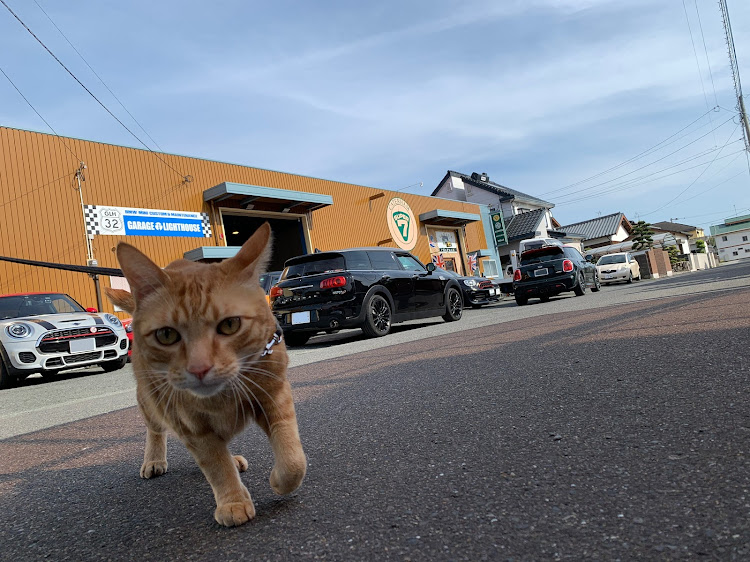 ミニ クラブマンのガレージライトハウス・猫に関するカスタム事例の投稿画像1枚目