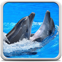 应用程序下载 Dolphins Live Wallpaper 安装 最新 APK 下载程序