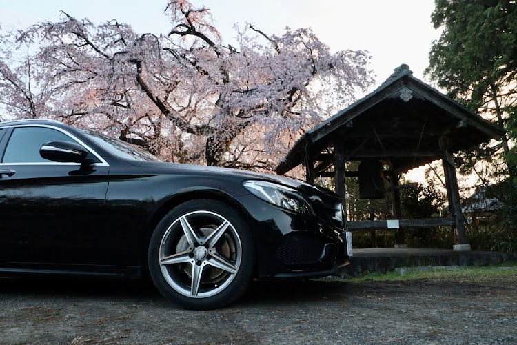 アルピーヌのA110のある生活・朝活・夜明けの桜・リフレクションに関するカスタム事例の投稿画像4枚目