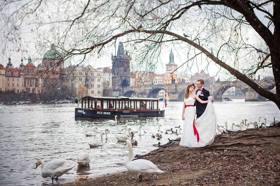 Hochzeitsfotograf Roman Lutkov (romanlutkov). Foto vom 1. Dezember 2014