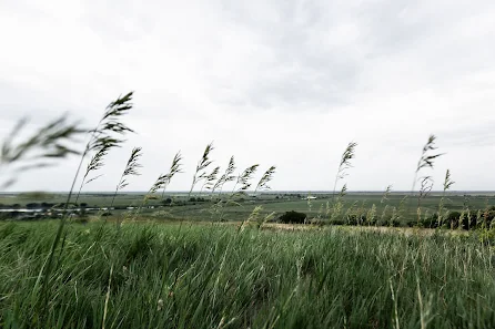 Fotografo di matrimoni Viktor Krutickiy (krutitsky). Foto del 13 agosto 2020