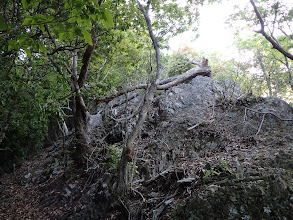 岩尾根を進む