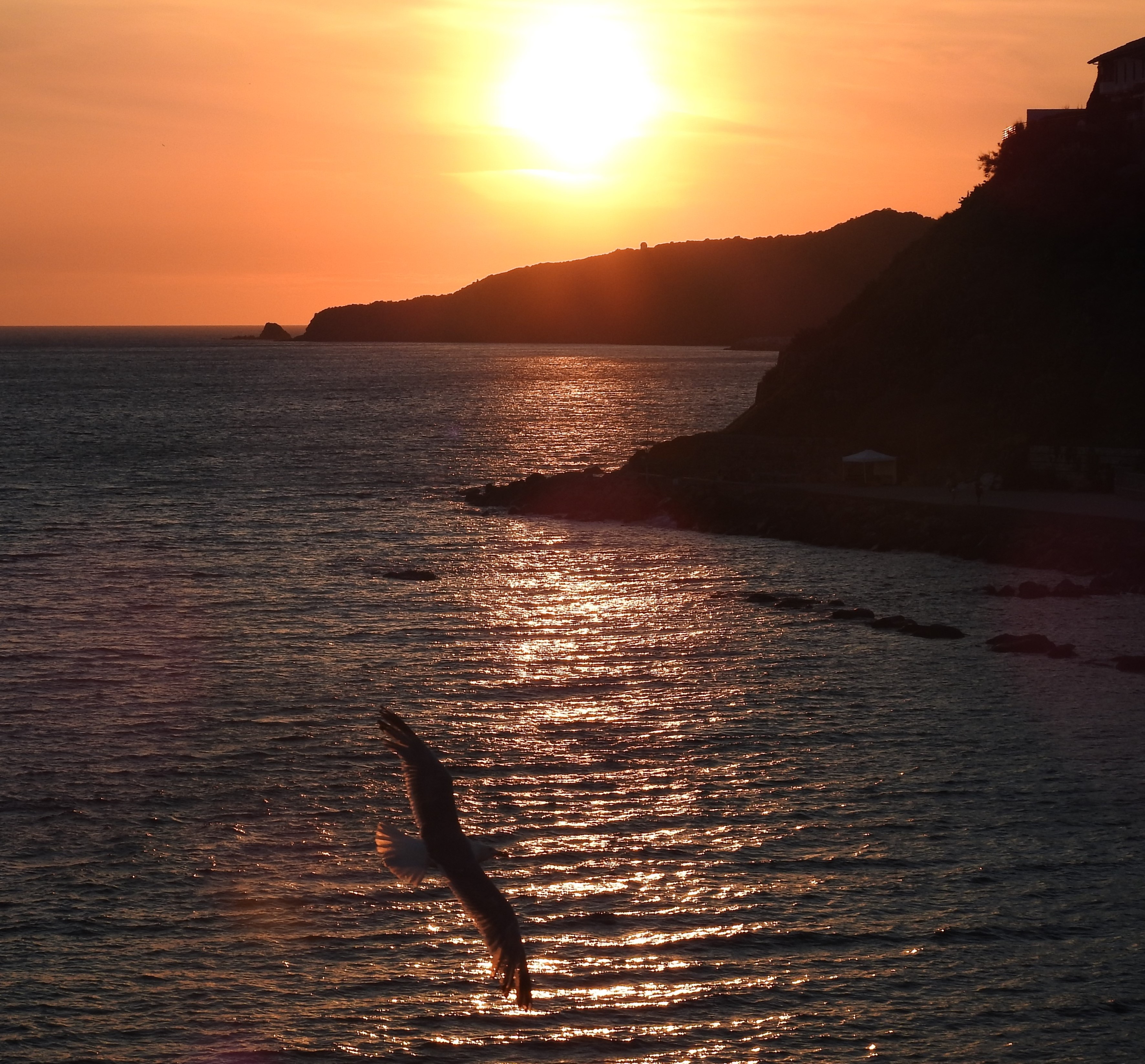 uccelli rientrano al tramonto di luciano55