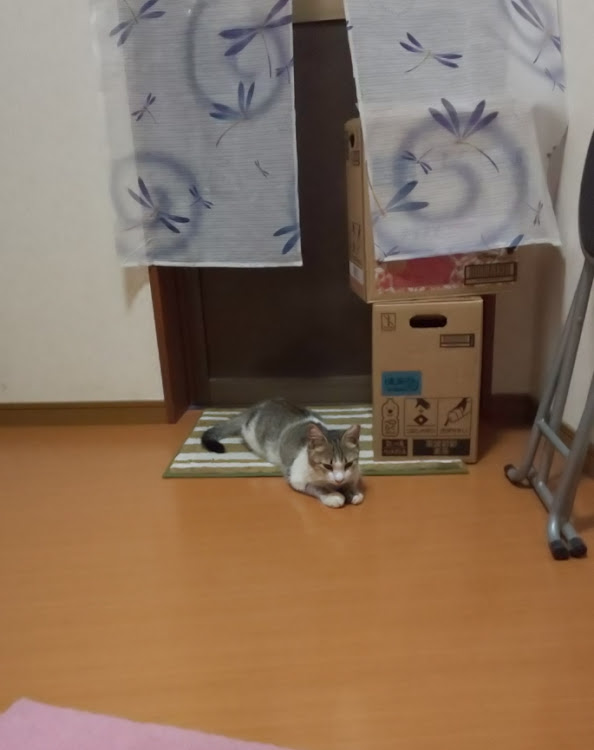 N-ONEのてつやんさんが投稿したカスタム事例の投稿画像11枚目