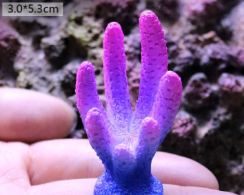 Title 2, Starfish resin ornaments for saltwater fish tan...