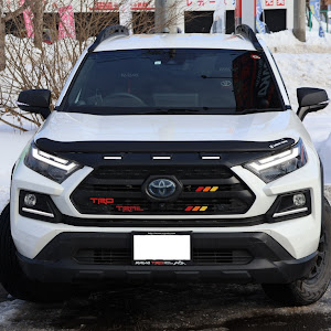 RAV4 AXAH54