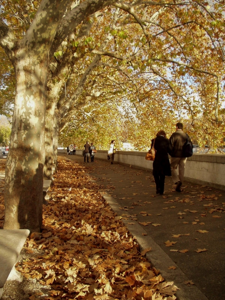 Lungotevere di ritabat