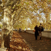 Lungotevere di 