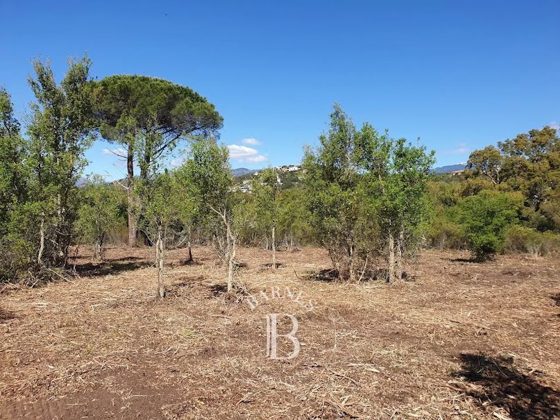 Vente terrain à batir  2092 m² à Sainte lucie de porto vecchio (20144), 520 000 €