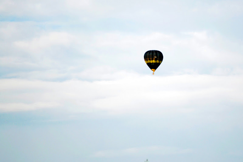 Leggera nel cielo di utente cancellato